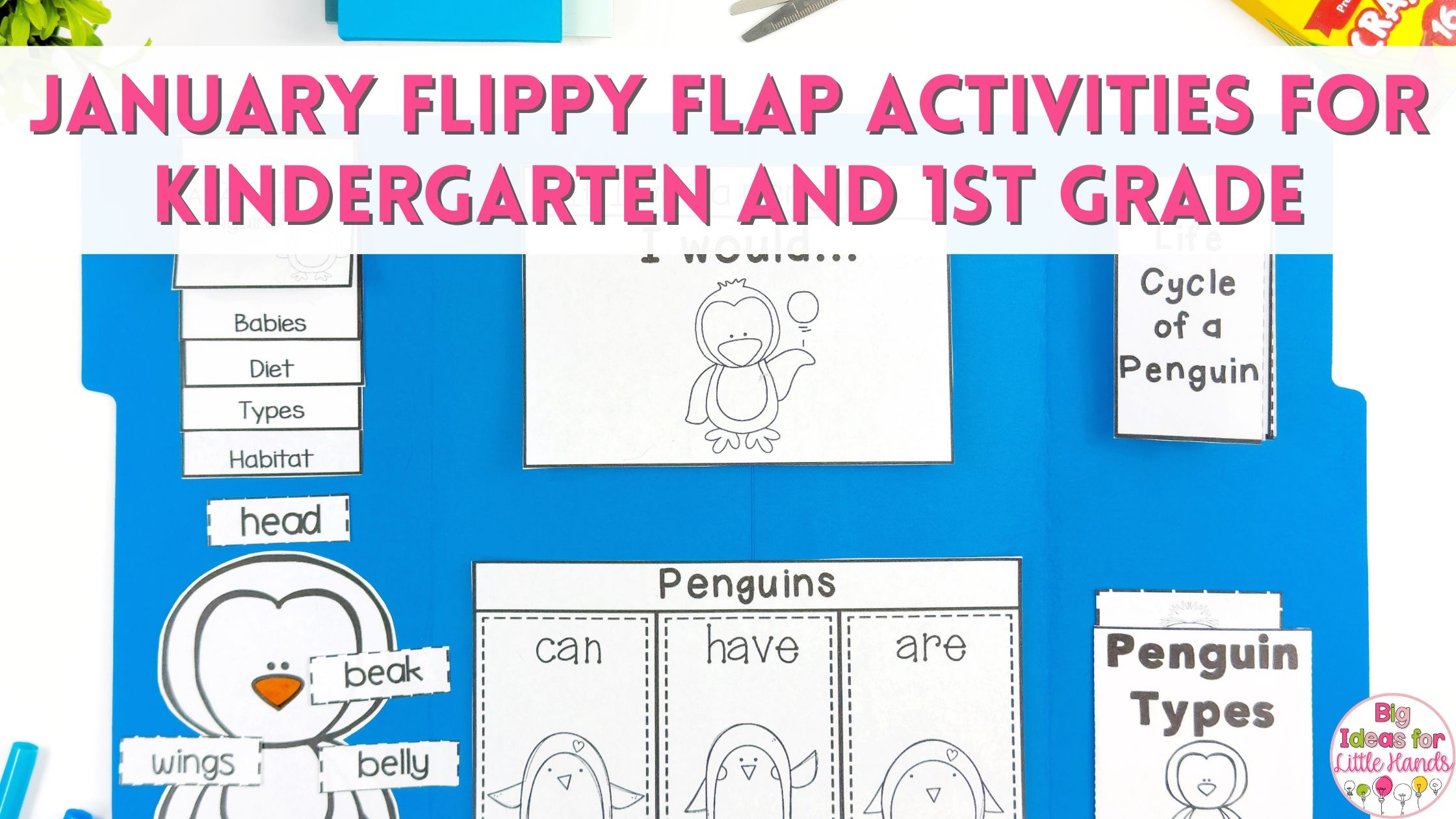 These January flippy flap activities are perfect for kindergarten and first grade.