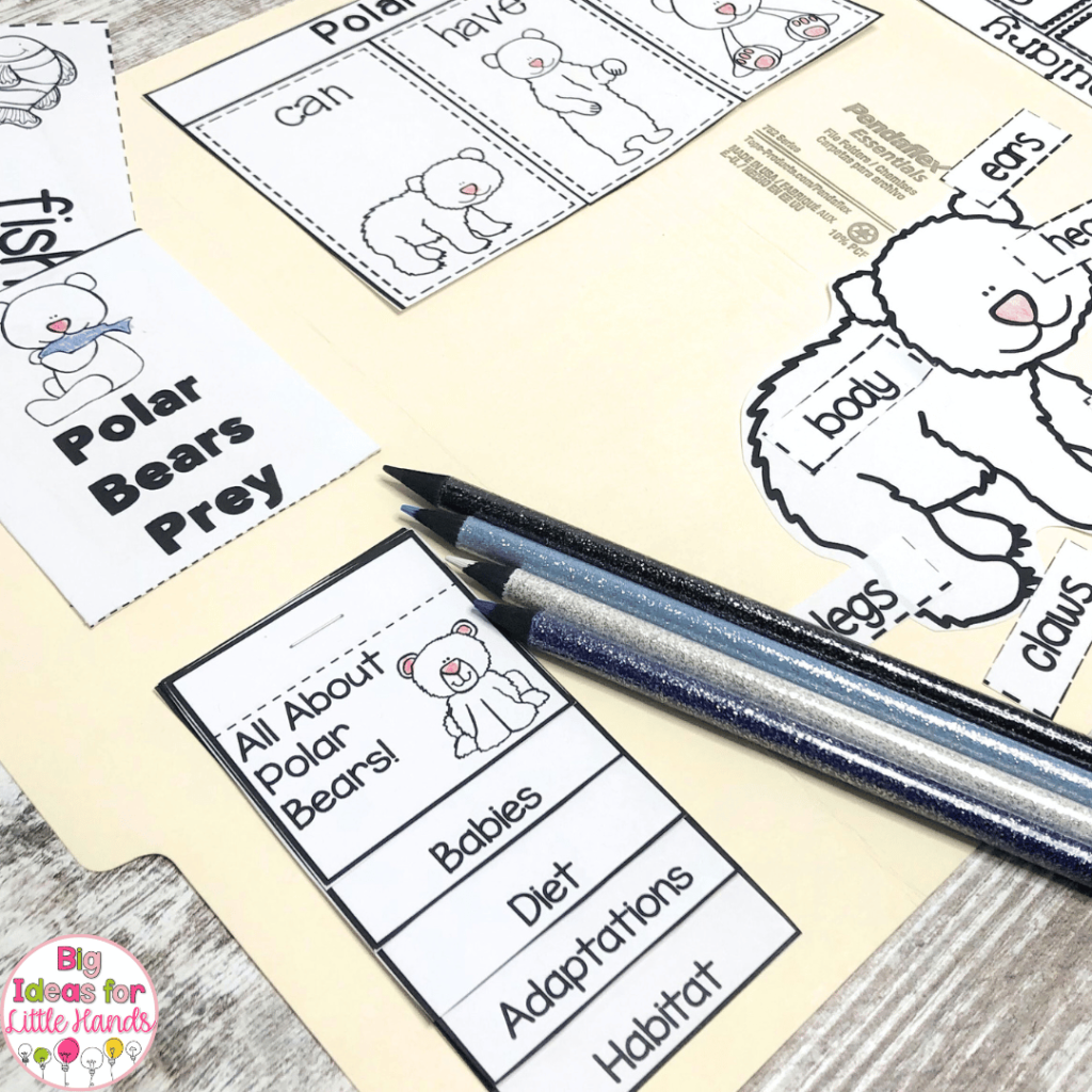 This photo highlights a polar bear lap book that can be used when integrating kindergarten science and literacy.