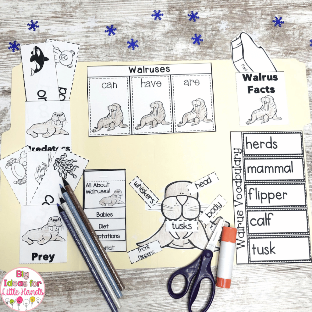 Students can practice kindergarten science topics using this walrus lap book.