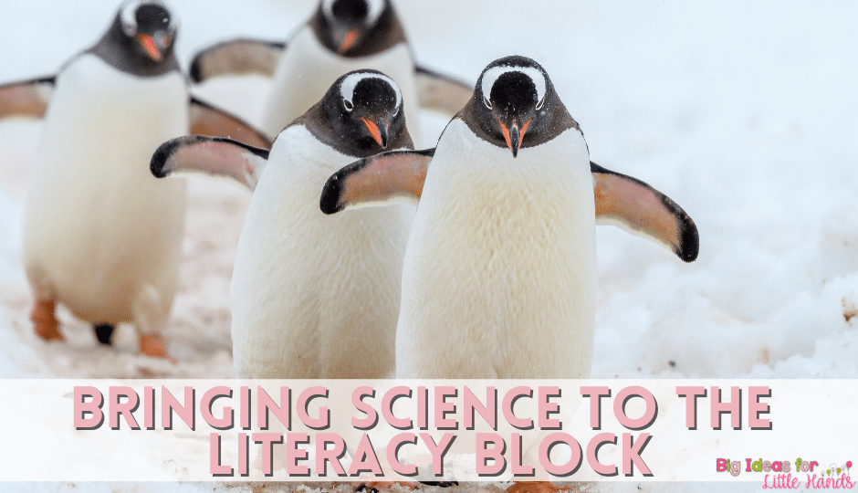 Adding science to your reading and literacy block is a great way to teach standards in both areas