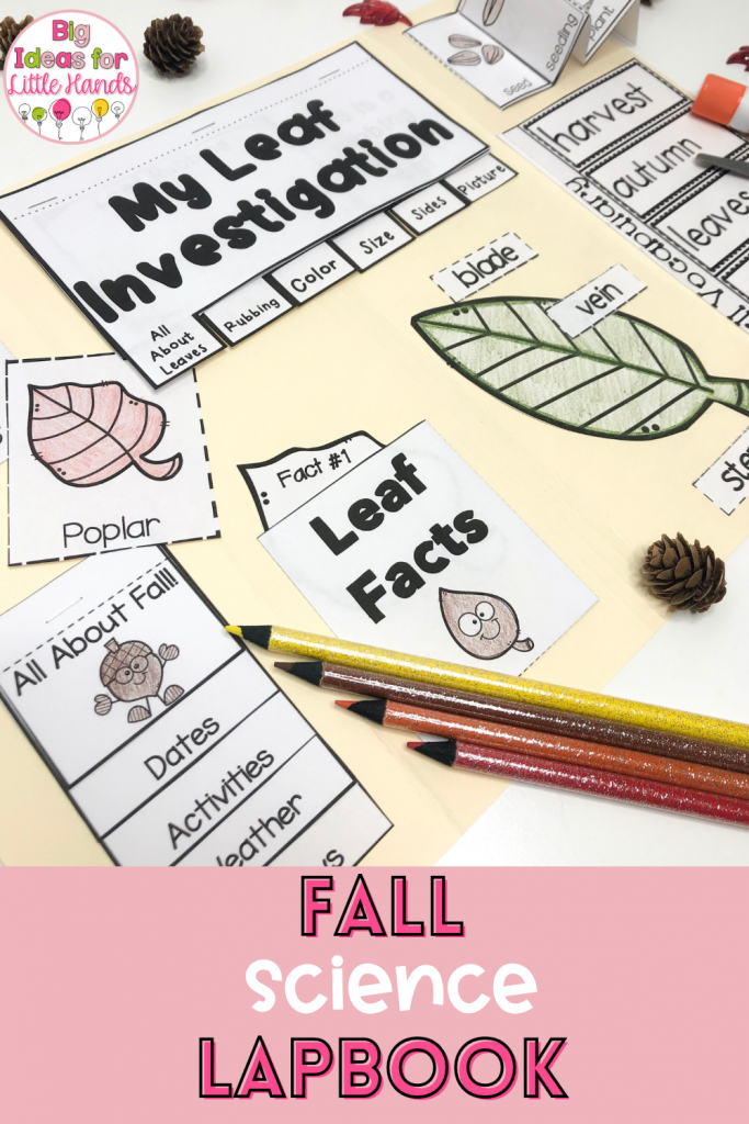 Jump into Fall fun with these amazing fall lapbook activities! Your students will enjoy fun, engaging activities and learn key science concepts with these lapbooks!