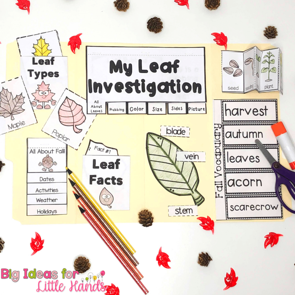 A lapbook is like an interactive notebook but for one unit or lesson.  This fall science lapbook connects the autumn season with science