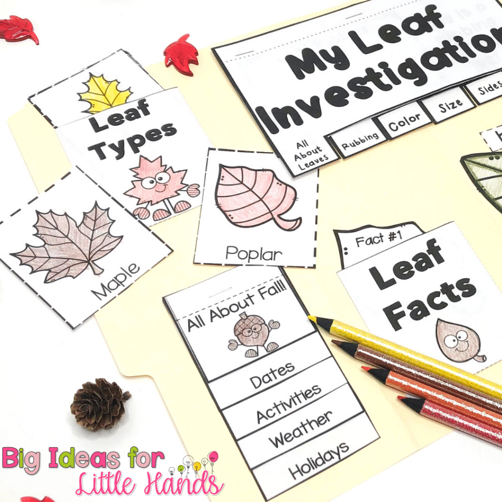 Starting with an overview fall and fun fall activities is a great way to introduce this fall science lapbook.