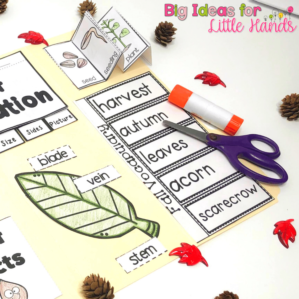 teaching fall themed vocabulary is a great way for students to being learning about this season