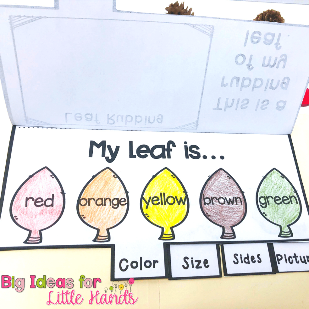 Using observation students will be guided through different leaf characteristics in their leaf study