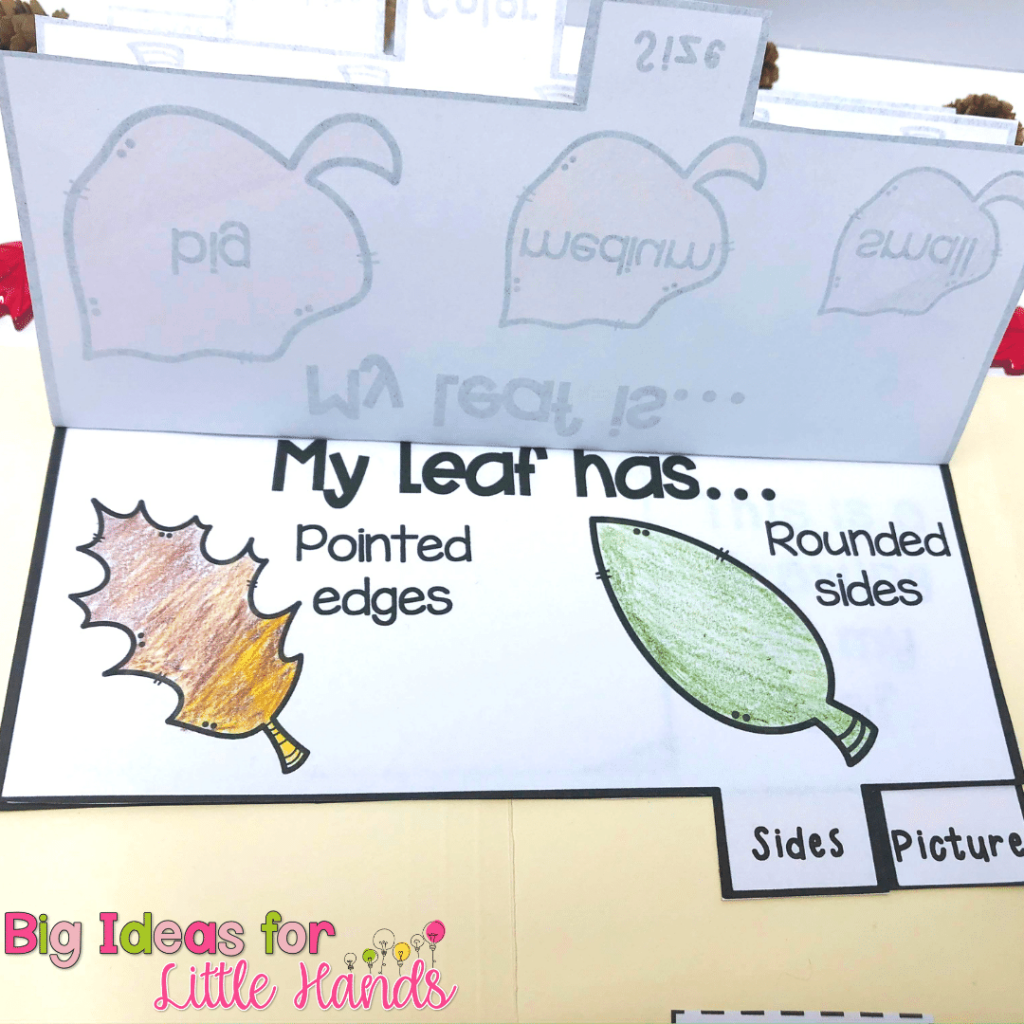 Leaf investigation page for describing the type of features the leaf has