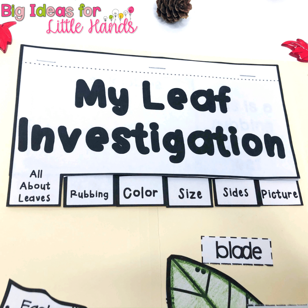 The leaf investigation tab book is where students will document their observations