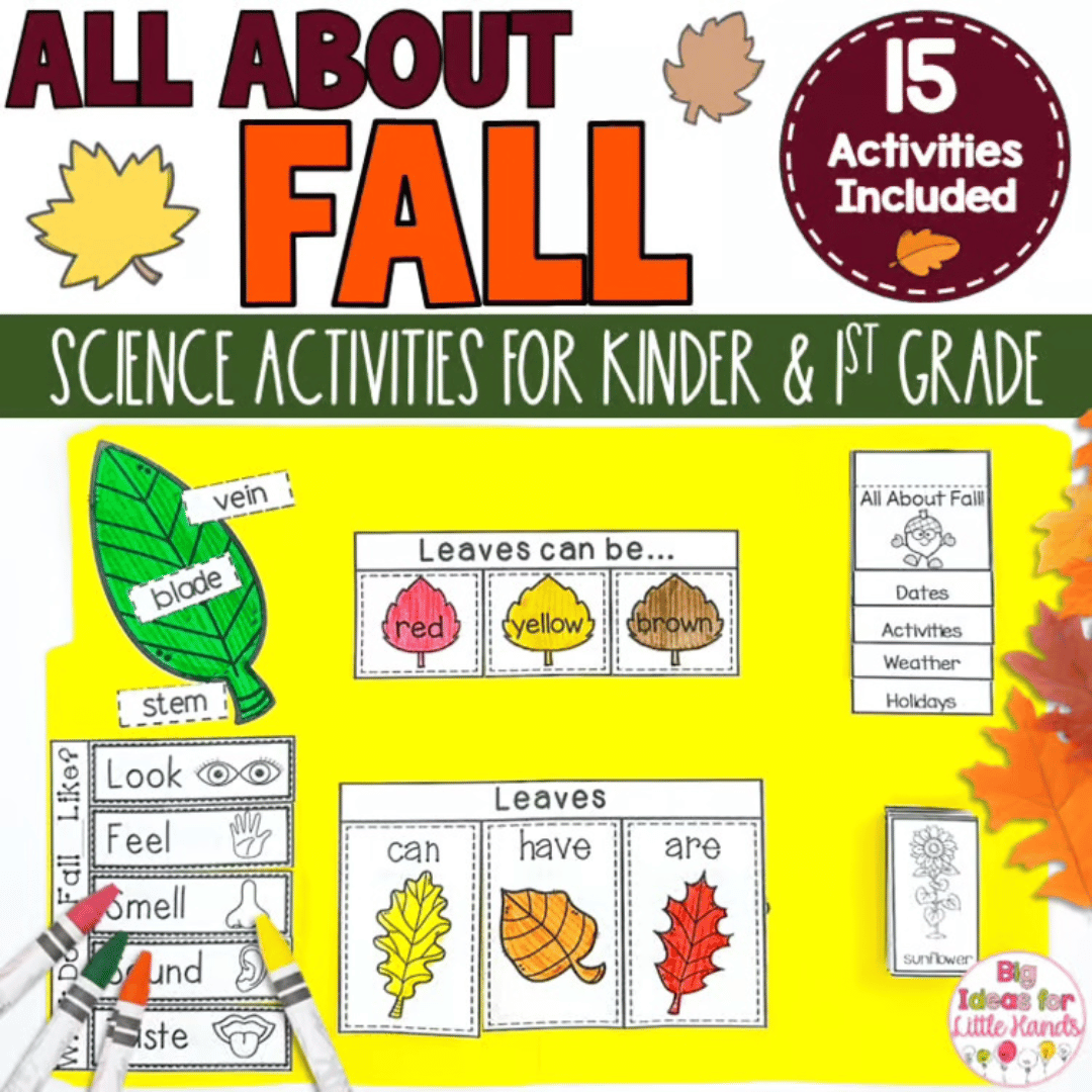 This Fall Lapbook resource can be found on Teachers Pay Teachers.
