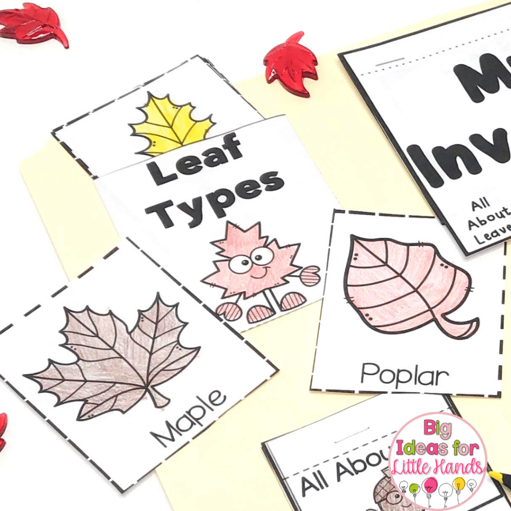 Students will learn about the different types of leaves that can be found in nature. 