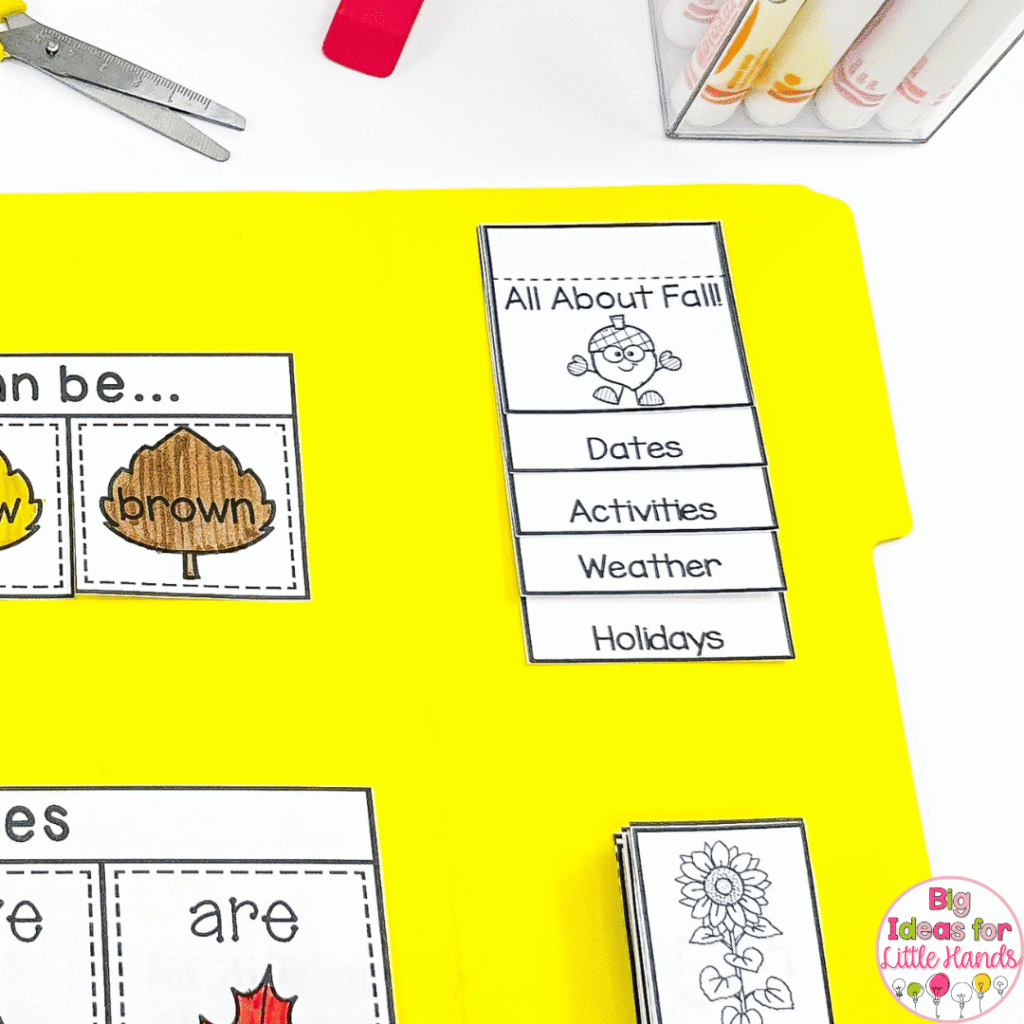 Starting with an overview fall and fun fall activities is a great way to introduce this fall science lapbook.