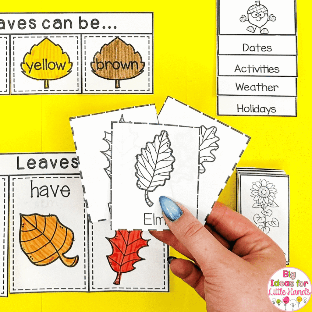 Students will learn about the different types of leaves that can be found in nature.