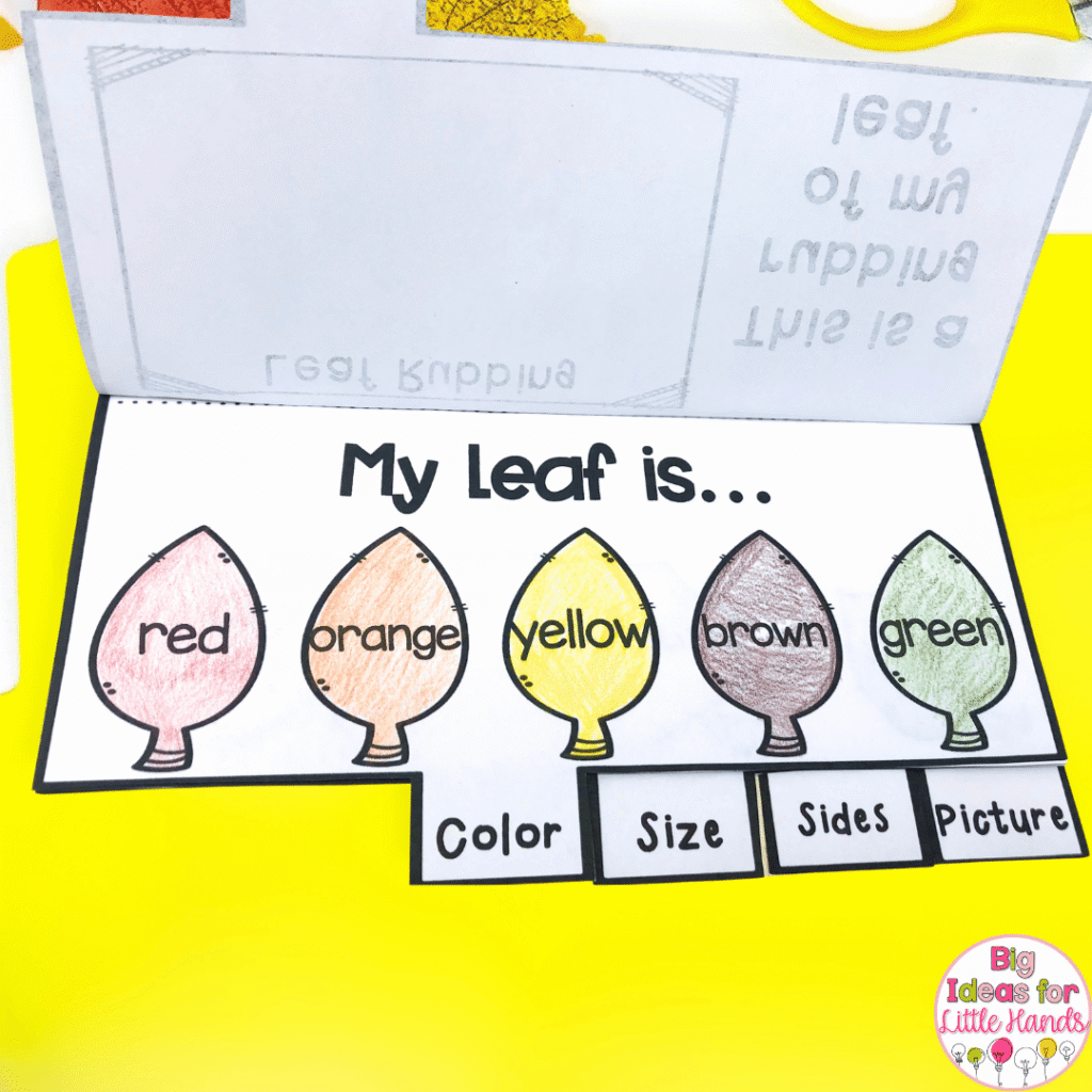 The leaf investigation tab book is where students will document their observations.