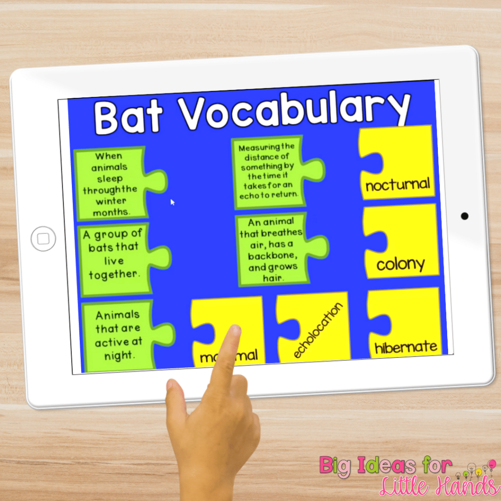 This digital version of my Bat Lapbook will help you to meet the needs of all of your students when celebrating Bat Week.