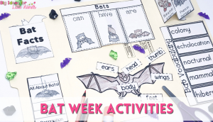 Fun and engaging activities for learning all about bats