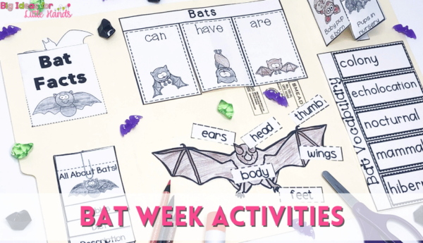 3 Fun Ideas to Celebrate Bat Week