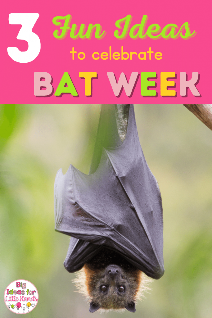 Grab these 3 fun ideas to celebrate Bat Week.