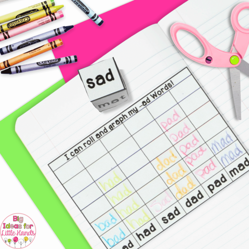 This image highlights a roll and write interactive notebook activity.