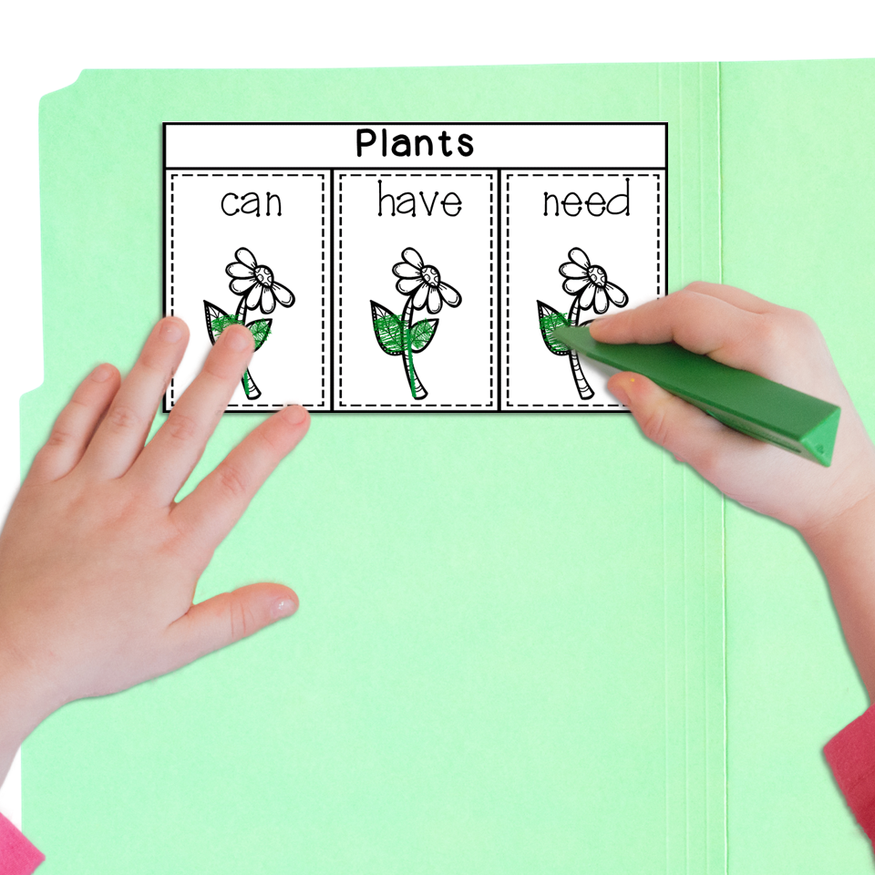 8 Lapbook Plant Activities for Spring in Kindergarten