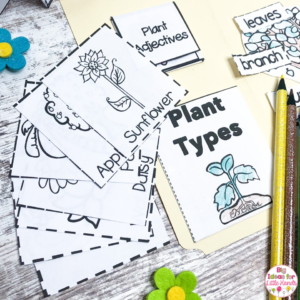 8 Lapbook Plant Activities for Spring in Kindergarten - Big Ideas for Little Hands