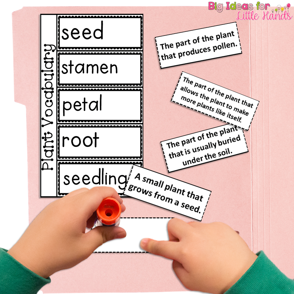 8 Lapbook Plant Activities for Spring in Kindergarten