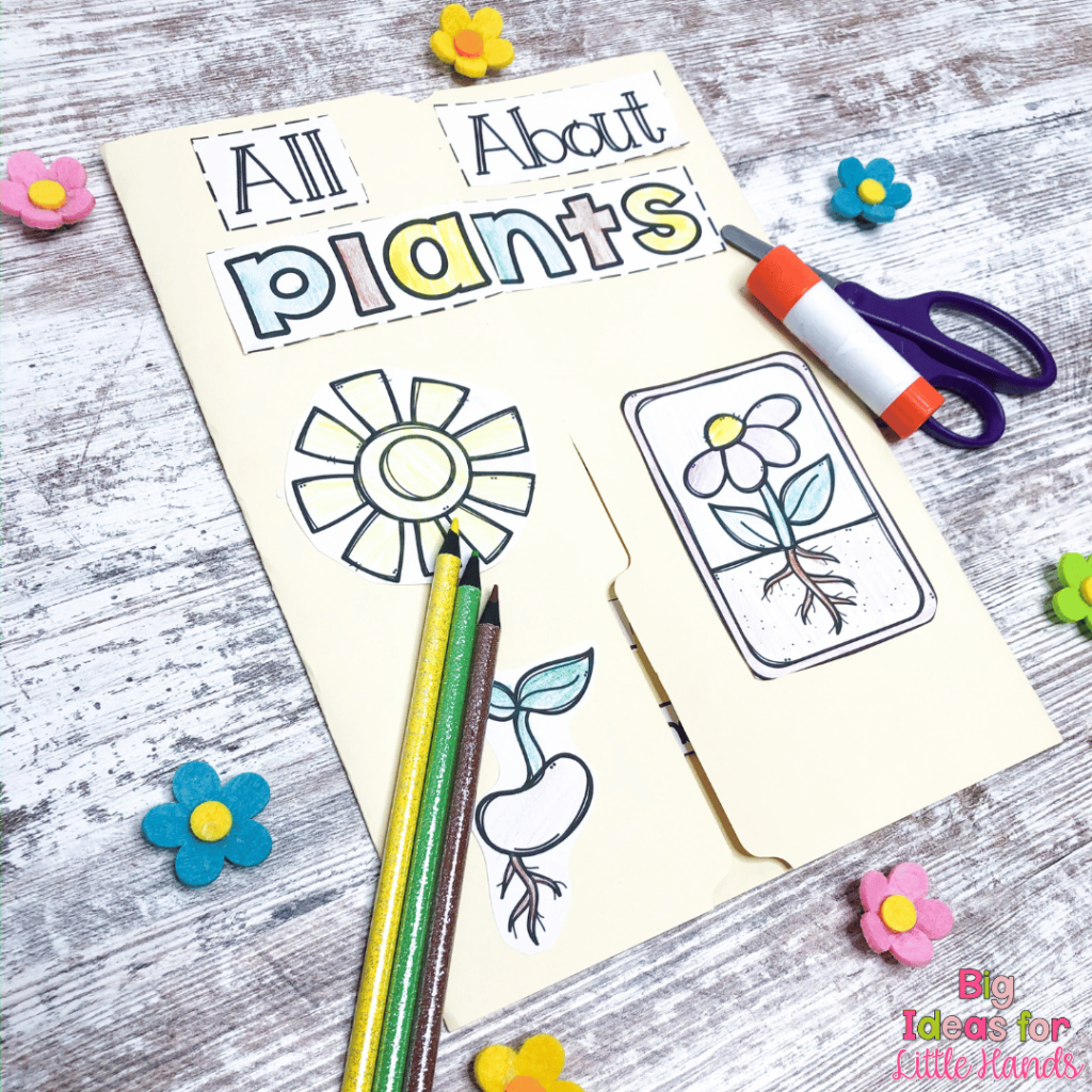 Your students will love learning about plants, parts of a plant, the plant life cycle and more with these plant activities.