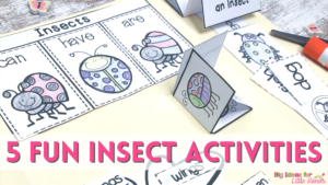 Your students will love learning all about insects as they put together their interactive lapbooks!