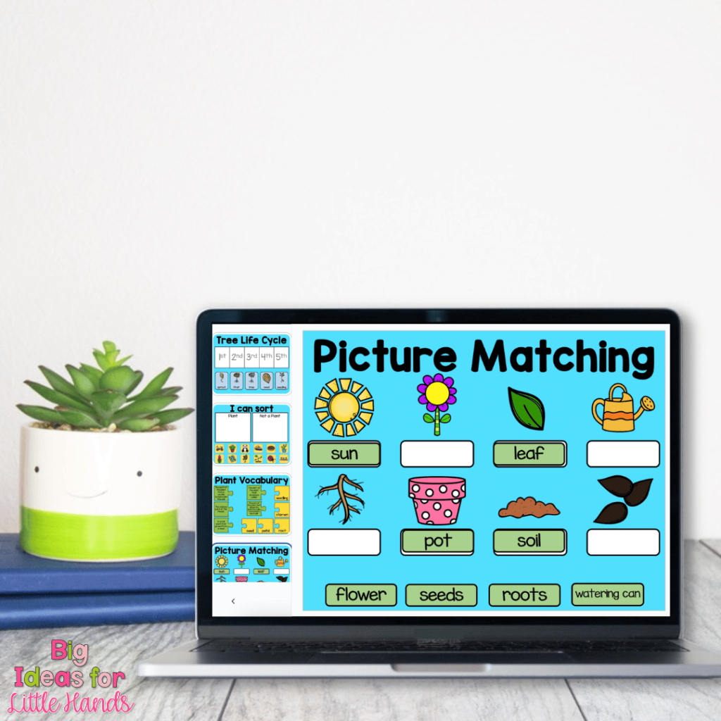The digital plant activities add interactivity to your plant lessons. They can also be used as center activities by students.