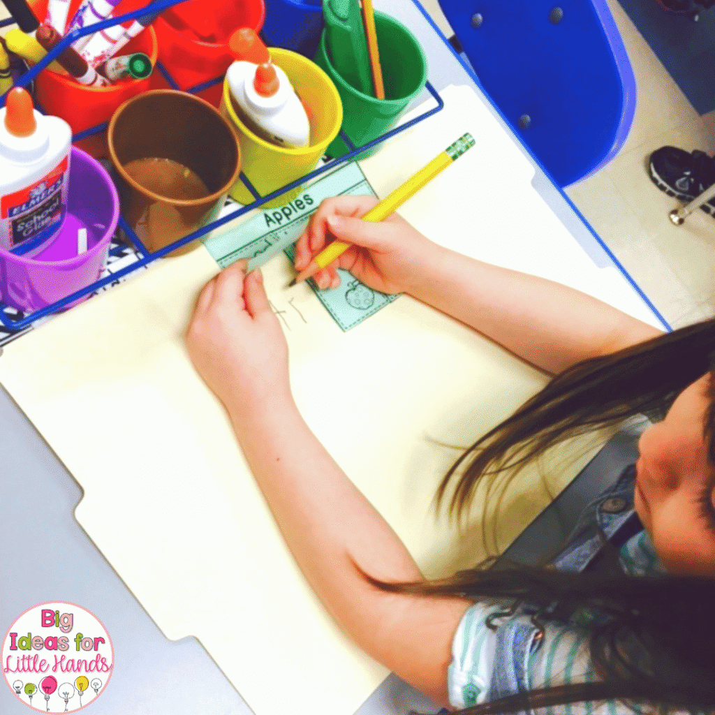 Lapbooks are mini interactive notebooks that focus on engaging themes and topics.