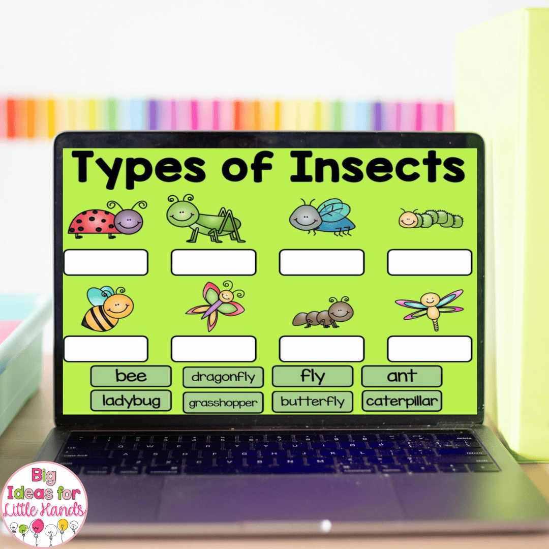 This digital lapbook includes many of the same insect activities.