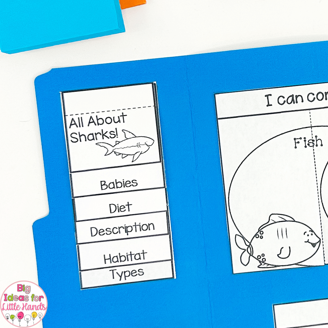 This lapbook includes ocean animal activities that allow students to dive into different animals' diets, habitats, descriptions and more.