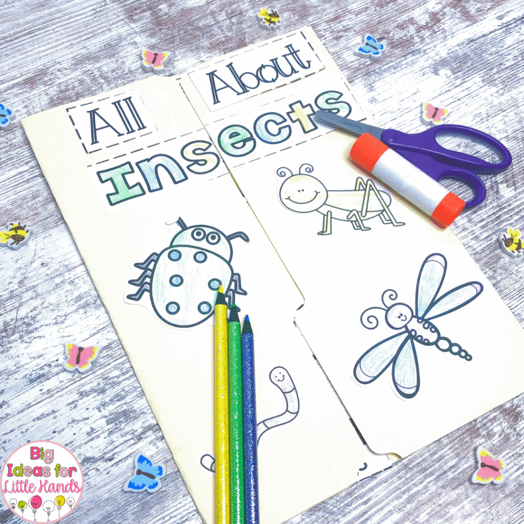 Making a lapbook is an easy way for your students to assemble all of the information they learn during their insect unit.
