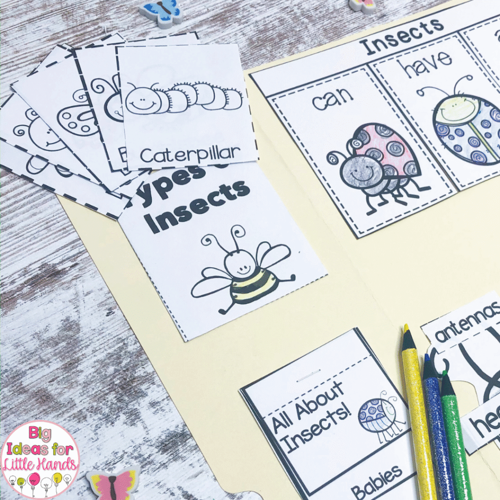 Using this lap book, students can learn about the different types of insects.