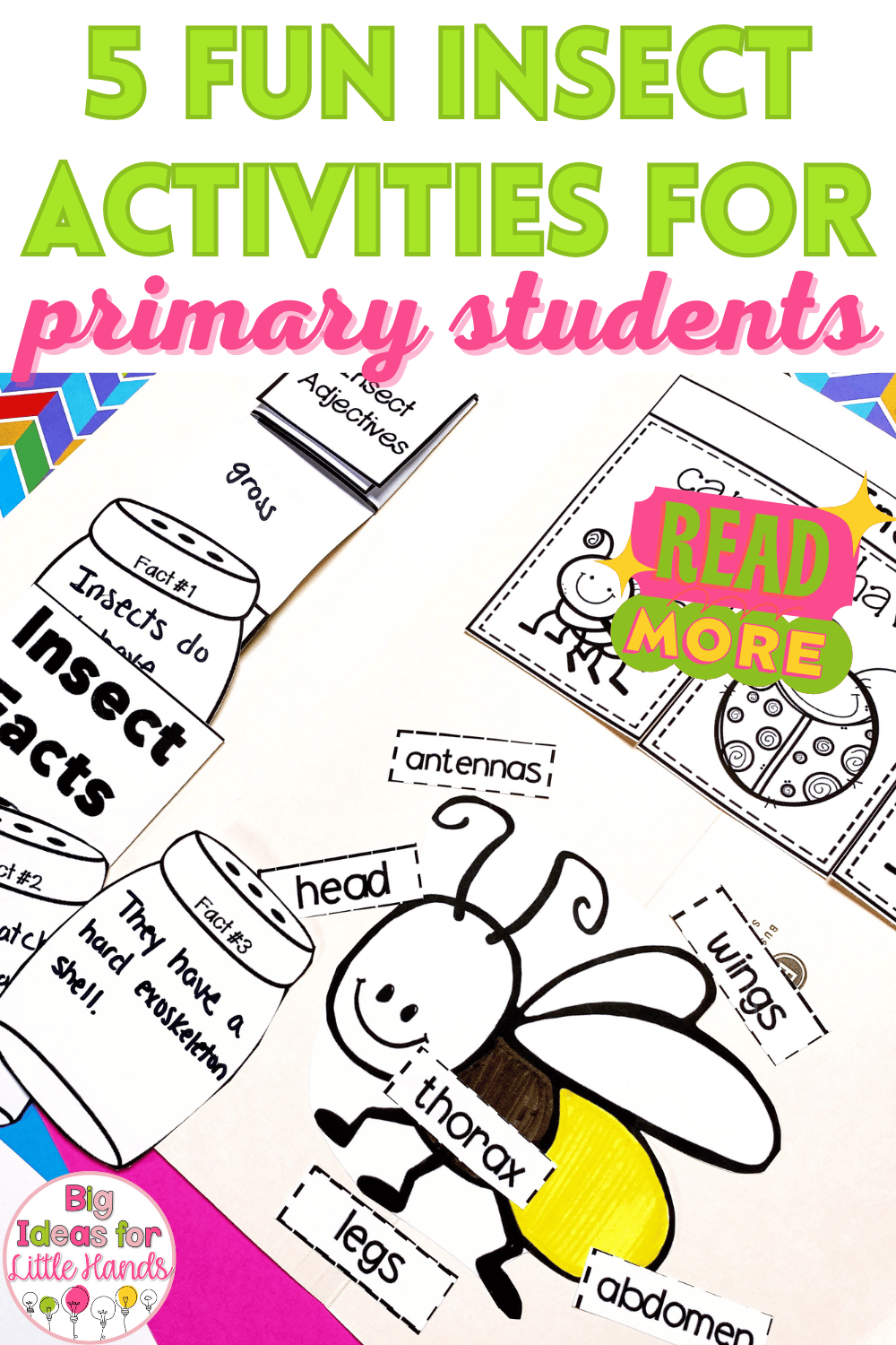 Your students will love learning all about insects as they put together their interactive lapbooks!