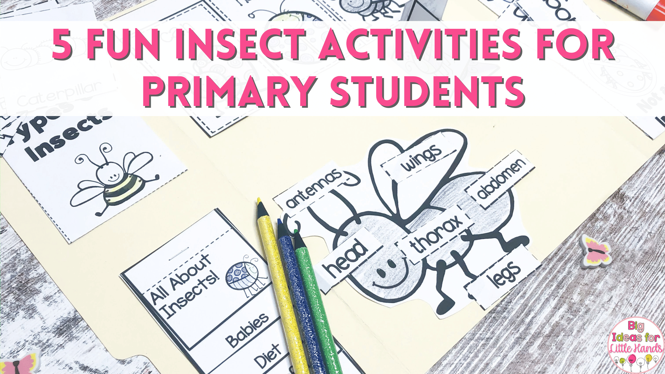 These 5 fun insect activities are perfect for primary students. 