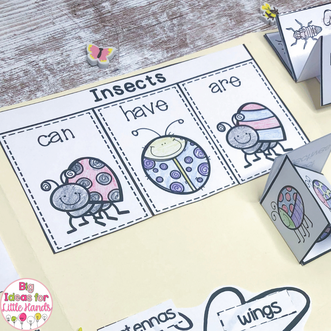 With this lapbook, students can talk about what bugs can do, have and are.