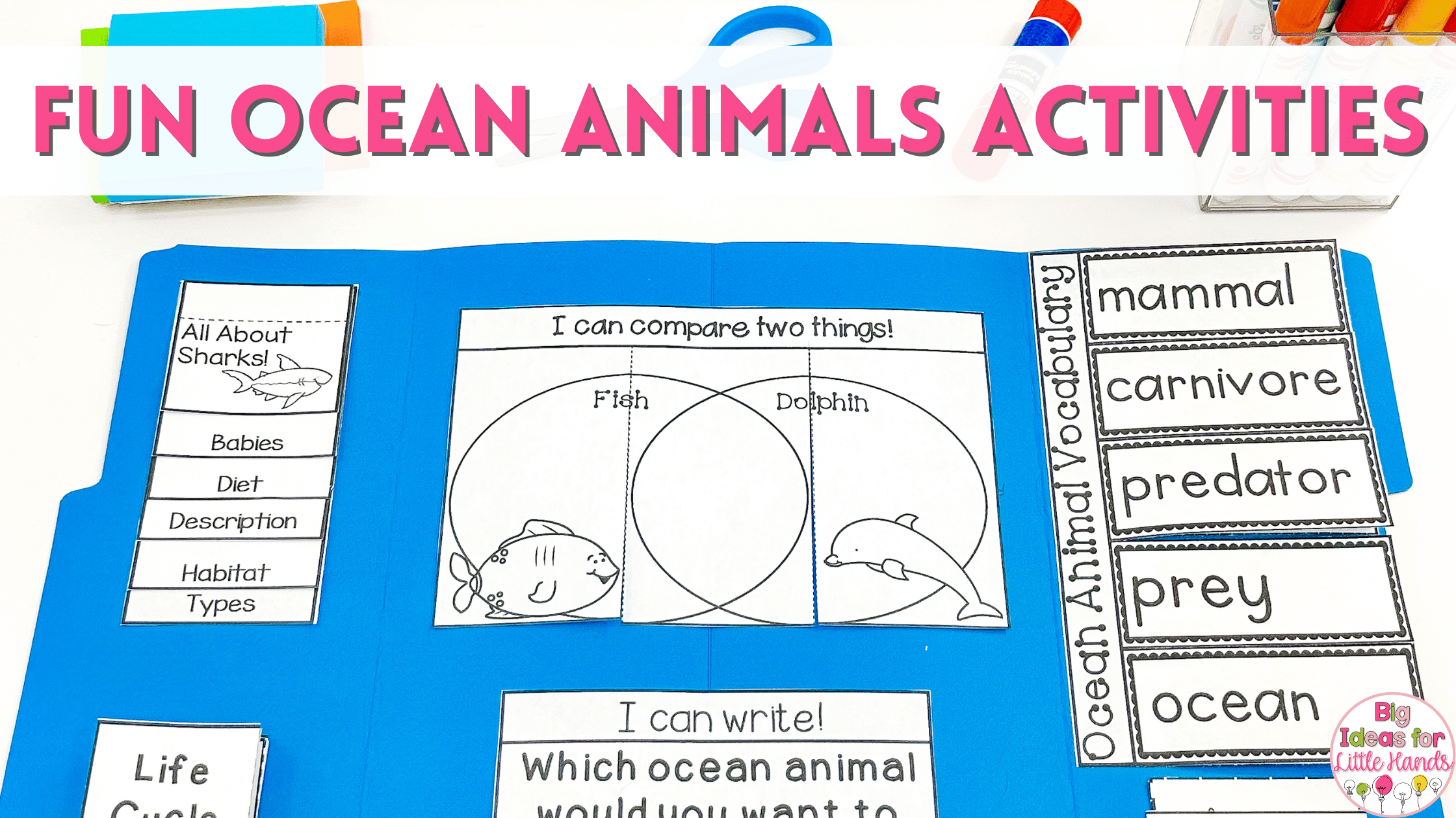 With these fun ocean animals activities, students can learn all about fish, dolphins, sharks and more!