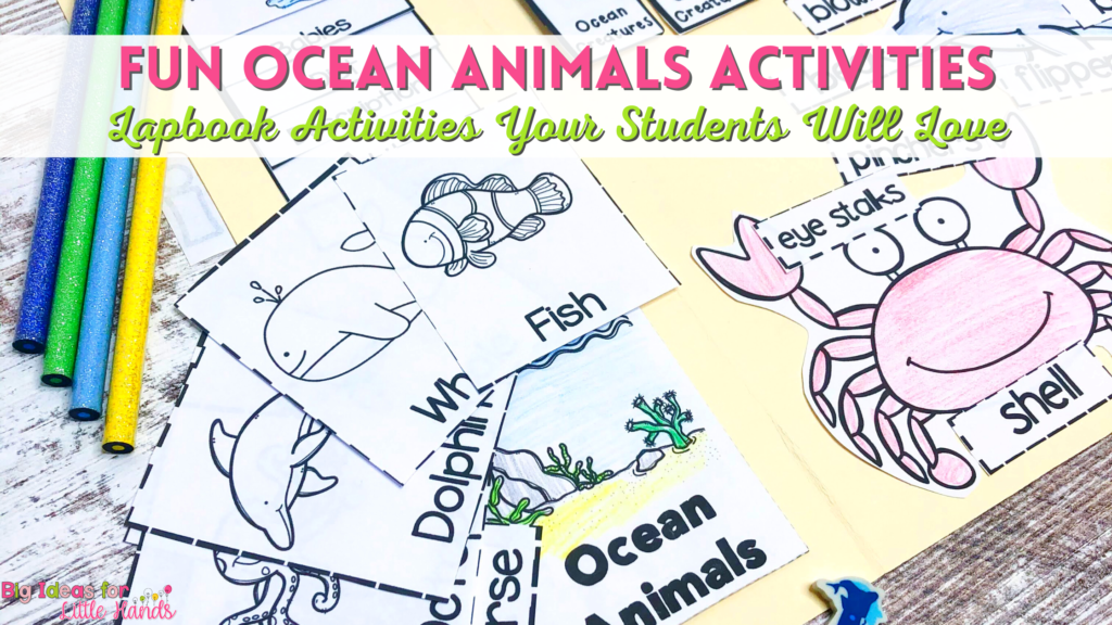 Fun Ocean Animal Activities