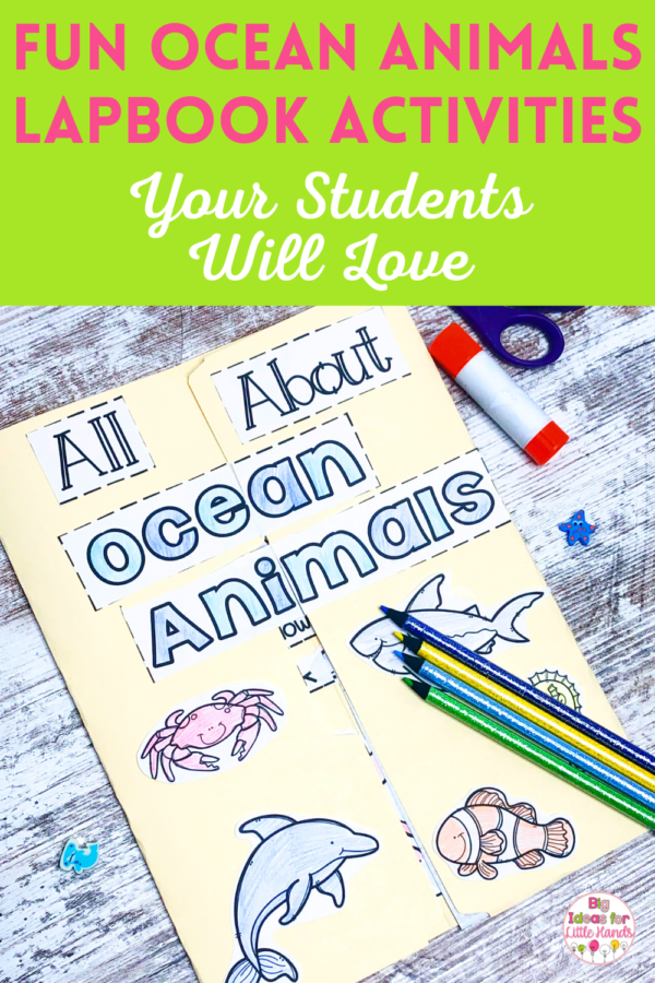 Fun Ocean Animal Activities