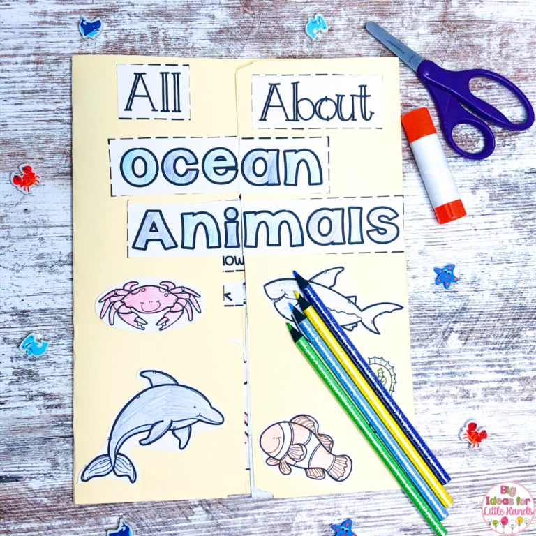 Fun Ocean Animal Activities