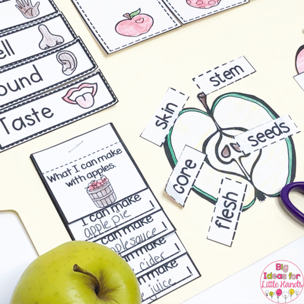 This image highlights lapbook activities that focus on what can be made with apples.