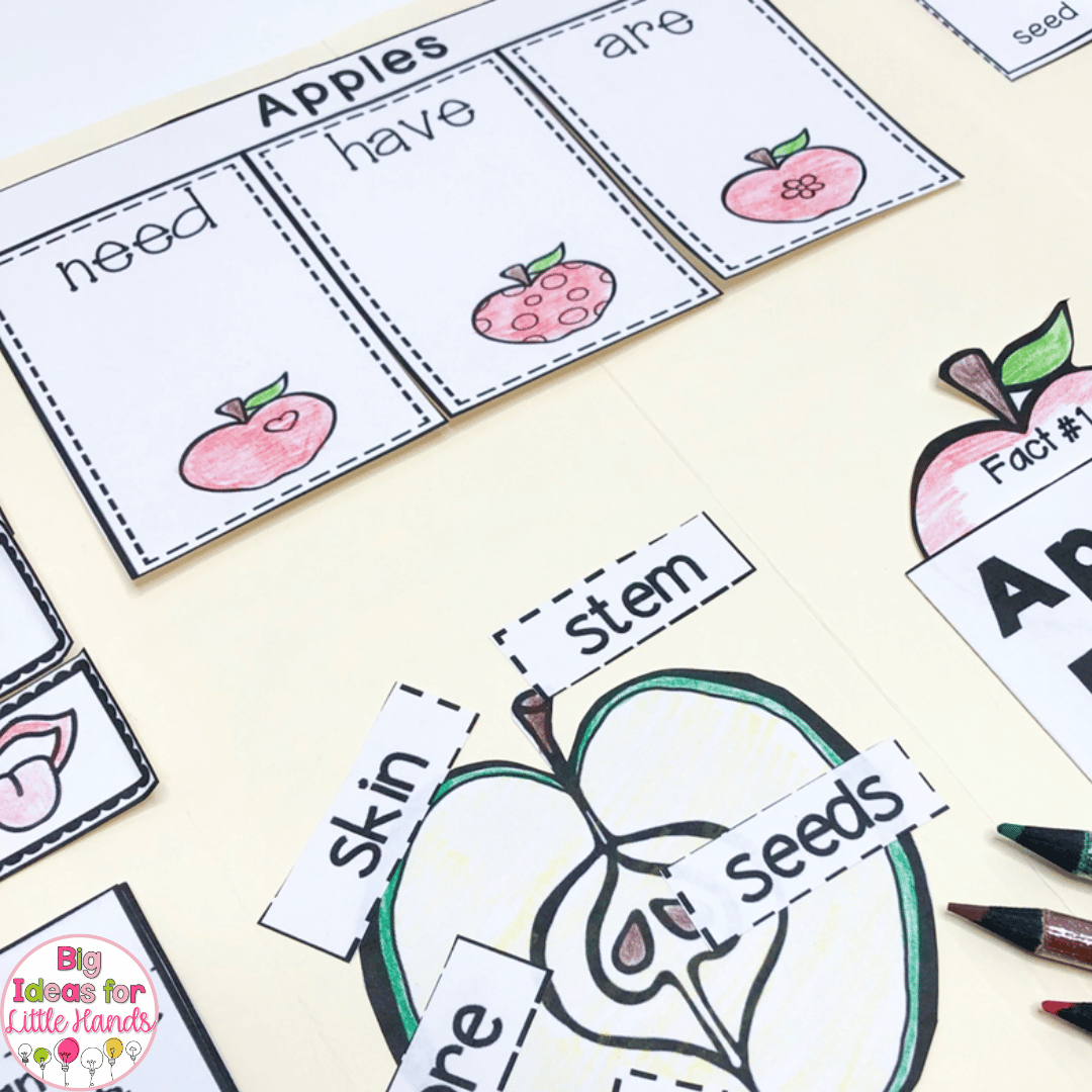 These apple lapbook activities support anchor charts that you can make with students.