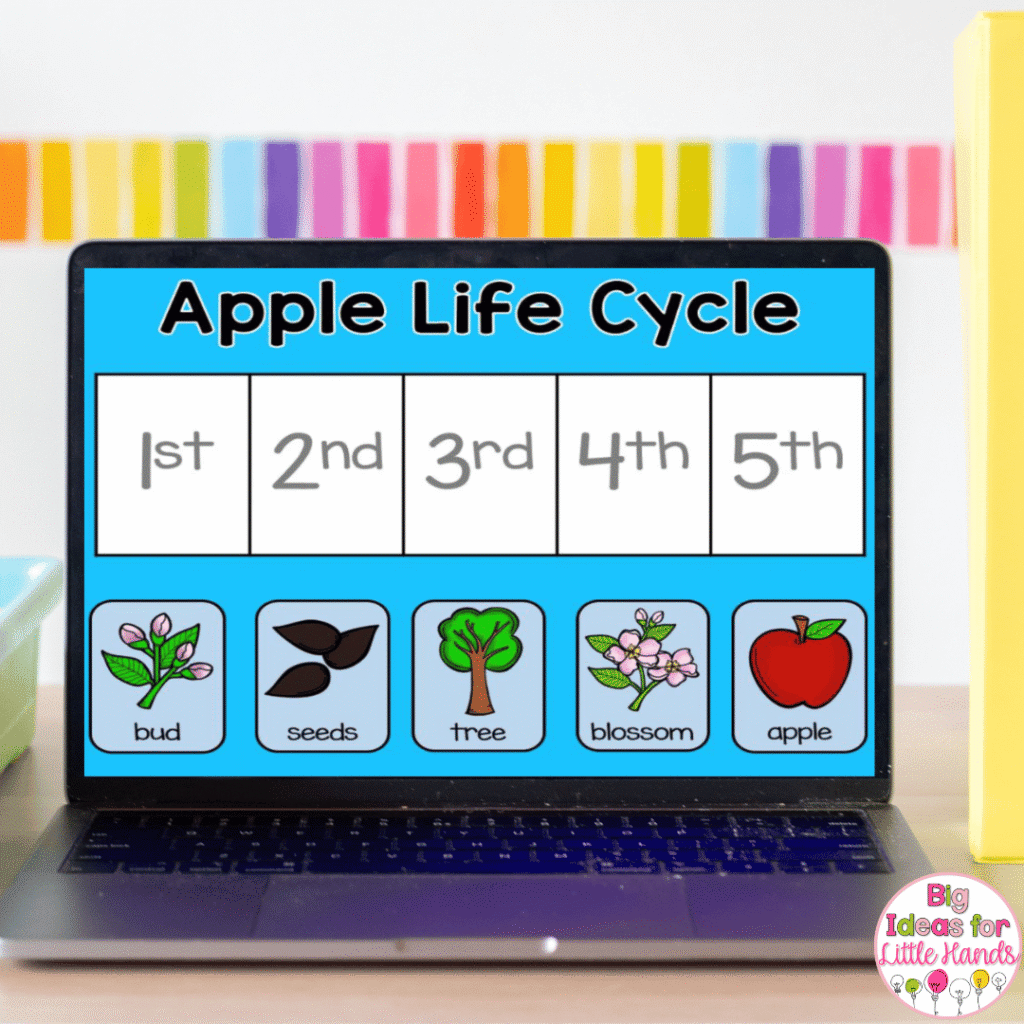 This image highlights a digital lapbook that your students will love! 