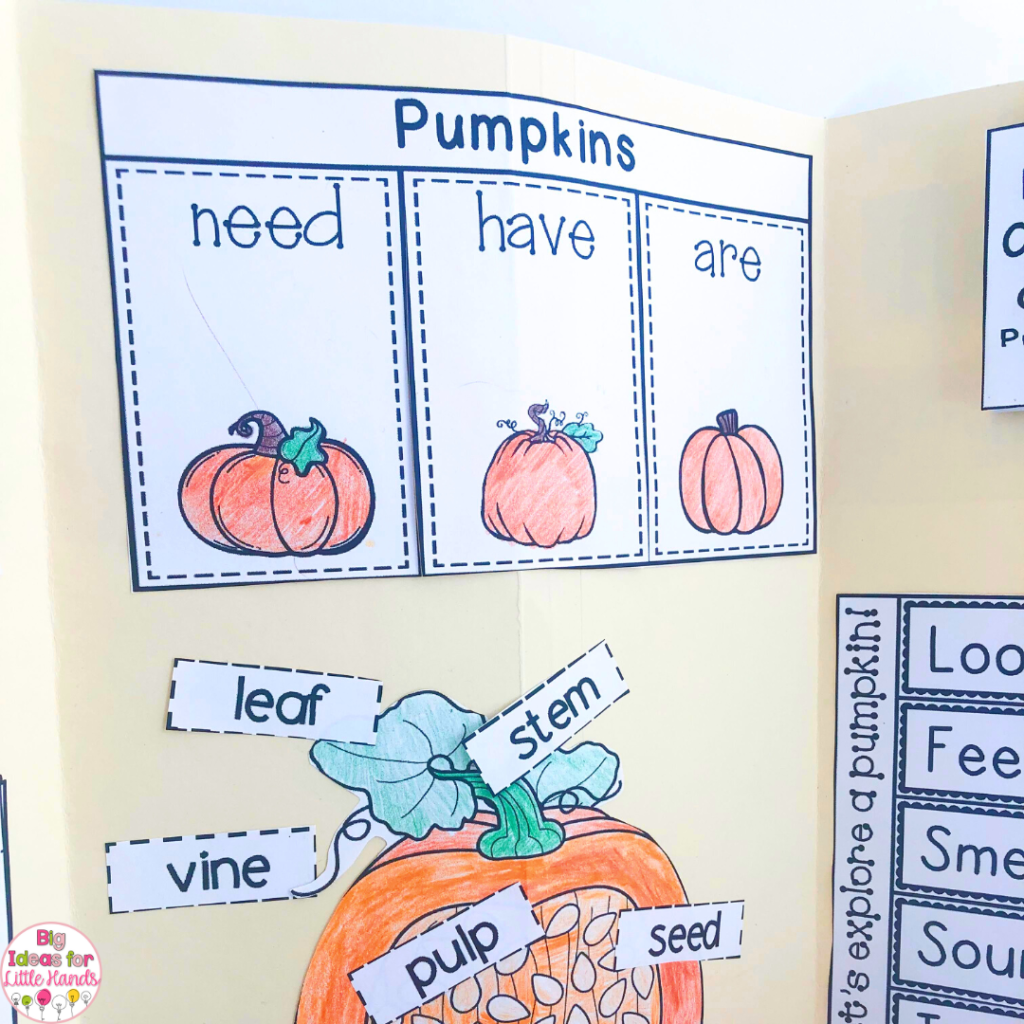 Use the pumpkins need, have, are pumpkin activity in the lapbook as part of a writing center for a fun way for students to record what they are learning about pumpkins.