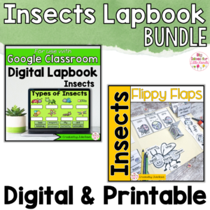 Insects and Bugs Activities Interactive Notebook Digital and Printable Bundle