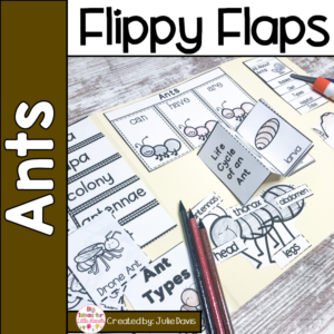 Ants Activities - Life Cycle and Craft Interactive Notebook Lapbook