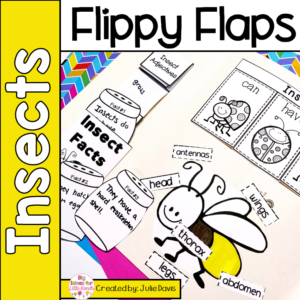 Insects and Bugs Activities - Life Cycle and Craft Interactive Notebook Lapbook