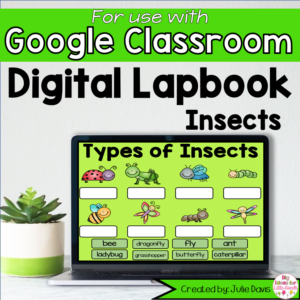 Insects and Bugs Digital Interactive Notebook for Google Classroom