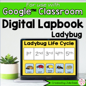 Ladybug Digital Interactive Notebook for Google Classroom