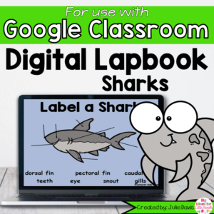 Sharks Digital Interactive Notebook Google Classroom