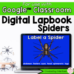 Spiders Digital Interactive Notebook for Google Classroom